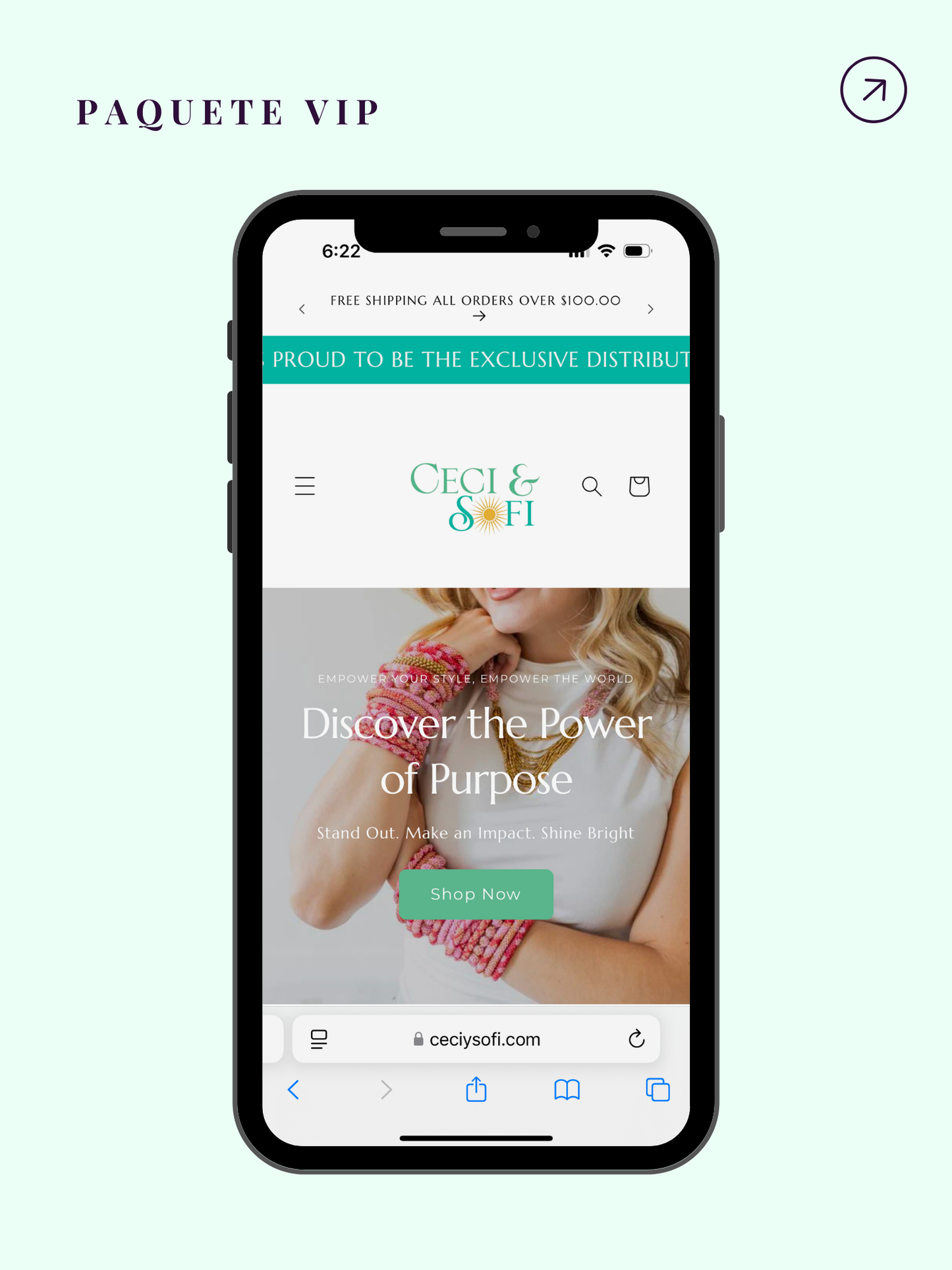 Paquete VIP Creación y Diseño de Páginas Web