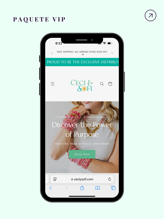 Paquete VIP Creación y Diseño de Páginas Web