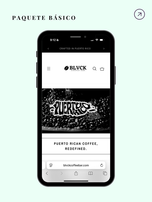 Essential Launch Paquete Básico Creación y Diseño de Páginas Web