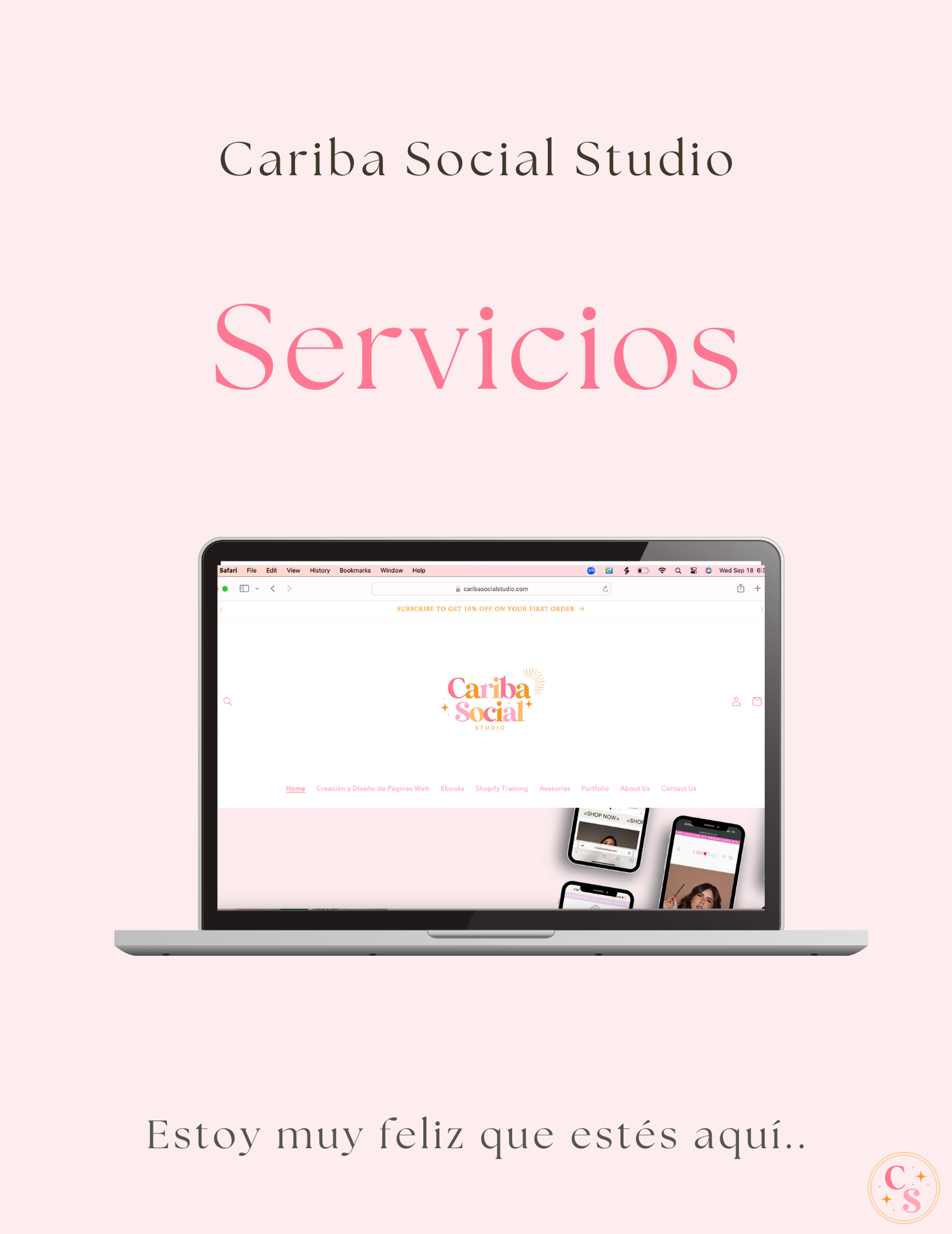 Servicios de Creación y Diseño de Paginas Web 